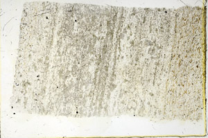 Plane Polarized, N3823