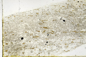 Plane Polarized, N3824