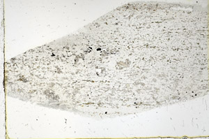 Plane Polarized, N3828