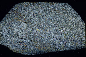 Cross Polarized, N3831