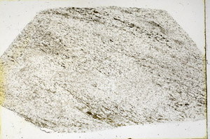 Plane Polarized, N3831