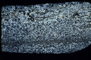 Cross Polarized, N3834