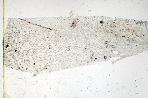 Plane Polarized, N3835