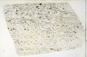 Plane Polarized, N3838
