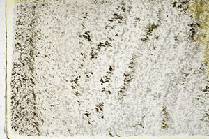 Plane Polarized, N3839