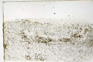 Plane Polarized, N3840