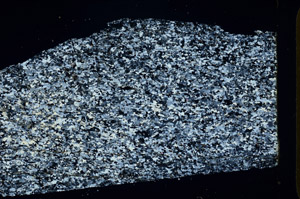 Cross Polarized, N3841