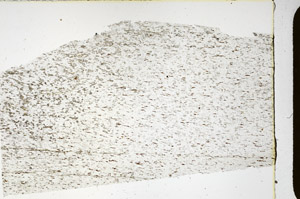 Plane Polarized, N3841