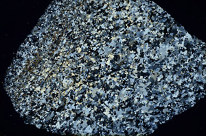 Cross Polarized, N3842