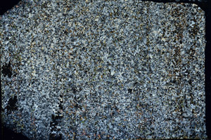 Cross Polarized, N3845