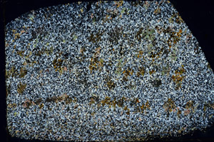 Cross Polarized, N3848