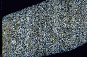 Cross Polarized, N3849
