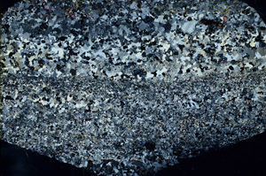 Cross Polarized, N3860