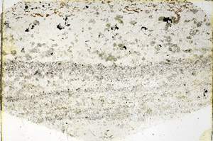 Plane Polarized, N3860