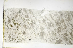 Plane Polarized, N3862