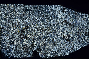 Cross Polarized, N3863