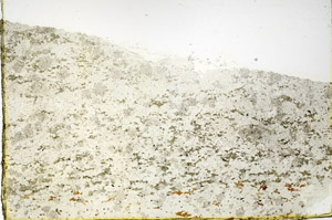 Plane Polarized, N3864