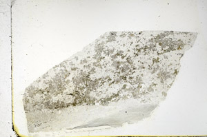 Plane Polarized, N3864/B