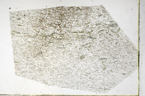 Plane Polarized, N3865