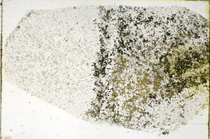 Plane Polarized, N3866