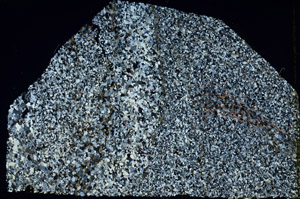 Cross Polarized, N3869