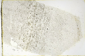Plane Polarized, N3870