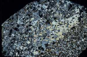 Cross Polarized, N3875