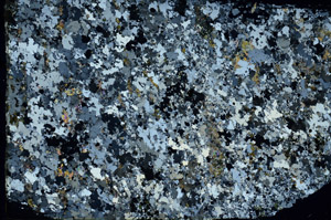 Cross Polarized, N3878