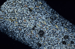 Cross Polarized, N3881