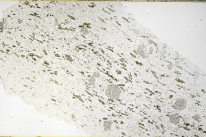 Plane Polarized, N3881