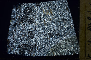 Cross Polarized, N3883