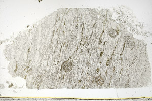 Plane Polarized, N3884/A