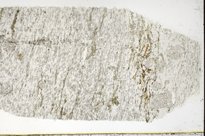 Plane Polarized, N3884/B