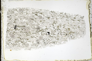 Plane Polarized, N3885