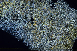 Cross Polarized, N3886