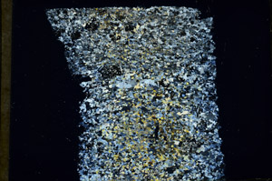 Cross Polarized, N3887