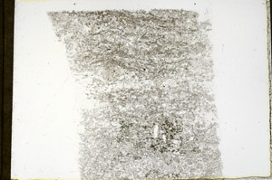 Plane Polarized, N3887