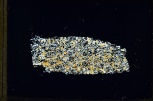 Cross Polarized, N3888