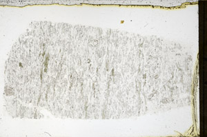 Plane Polarized, N3889