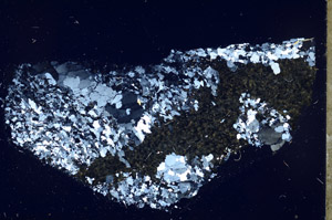 Cross Polarized, N3890