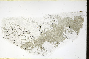 Plane Polarized, N3890