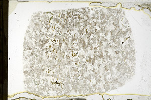 Plane Polarized, N3892