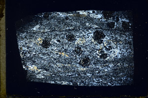 Cross Polarized, N3893