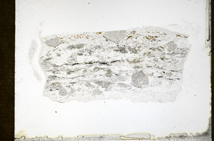 Plane Polarized, N3894