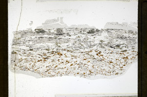 Plane Polarized, N3895