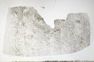 Plane Polarized, N3896