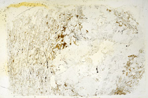 Plane Polarized, N3899