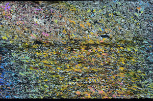 Cross Polarized, N3900