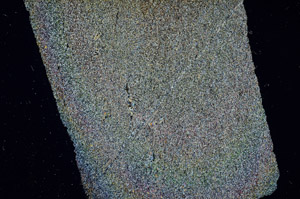 Cross Polarized, N3901