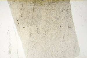 Plane Polarized, N3901